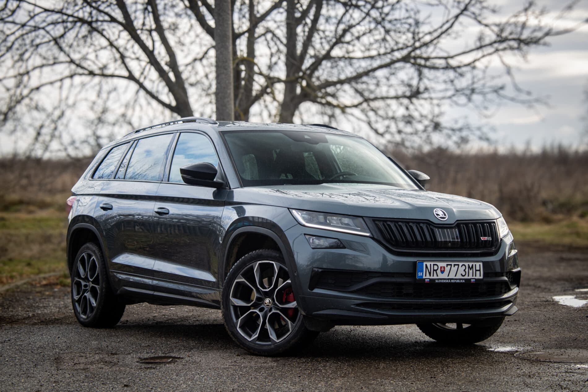 2019 Skoda Kodiaq RS, šedá suv, 156 069 km